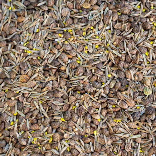 Zöldugar 38. csávázatlan