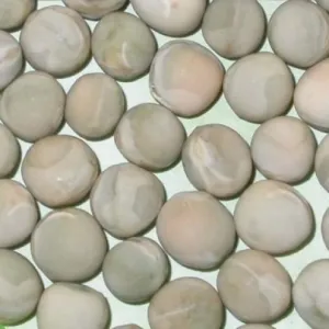 Irina csávázatlan II. fok