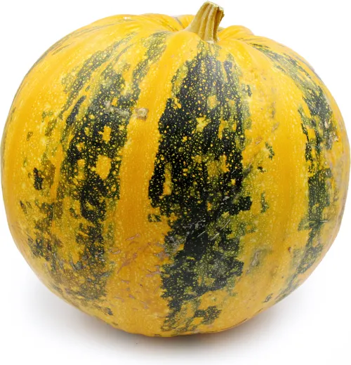 Pablo héj nélküli csávázott hibrid