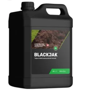 Blackjak