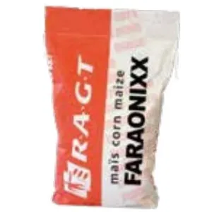 RGT Faraonixx csávázott