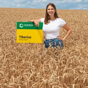 Tiberius csávázott II. fok