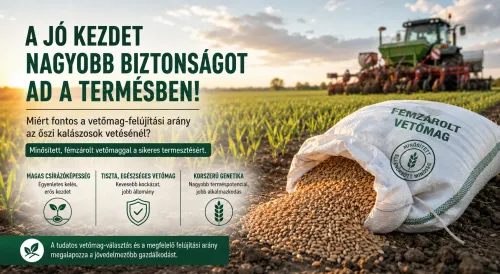 Miért fontos a vetőmag-felújítási arány az őszi kalászosok vetésénél?