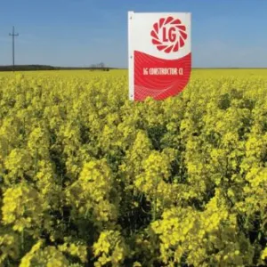 LG Constructor CL csávázott+rovarölő