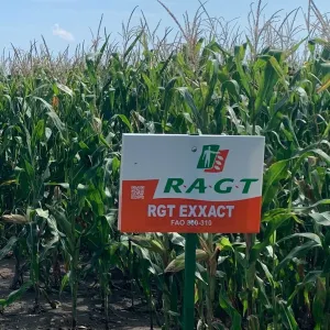 RGT Exxact csávázott