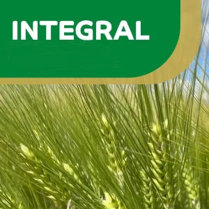 Integral csávázott II. fok