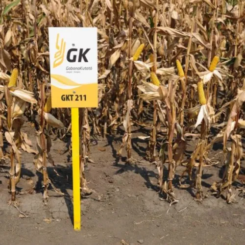 GKT 211 csávázatlan