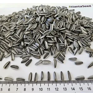 Chicky Imi csávázott