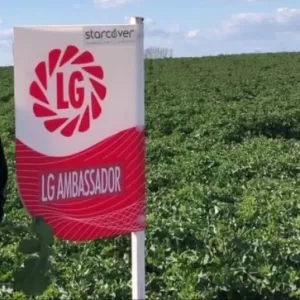 LG Ambassador csávázott+rovarölő