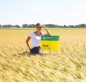 Sonja csávázott II. fok