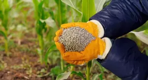 Starter műtrágyák és talajkondicionálók szerepe a korai fejlődésben
