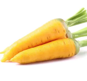 Jaune du Doubs standard konstans fajta csávázatlan