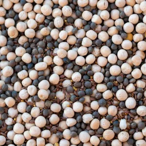 Nitrogén Nagymester Haladó csávázatlan