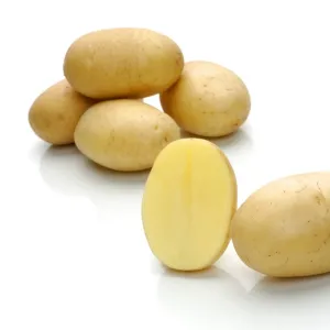 Sensation holland csávázott elit 35-55 mm