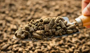 Pelletált szervestrágya: modern válasz a klasszikus problémákra