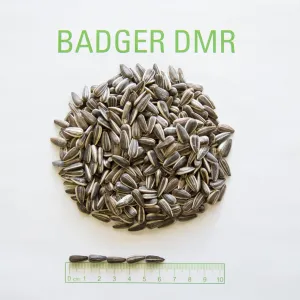 X9767 Badger DMR csávázott