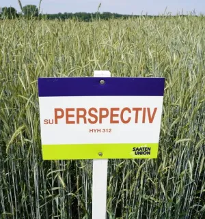 SU Perspectiv egyéves csávázott hibrid