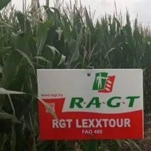 RGT Lexxtour csávázott