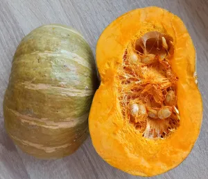 Giselle csávázatlan F1