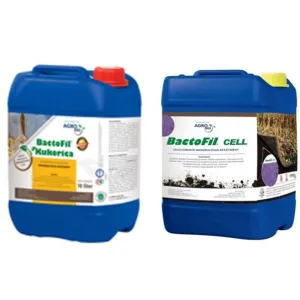 BactoFil Kukorica+Cell
