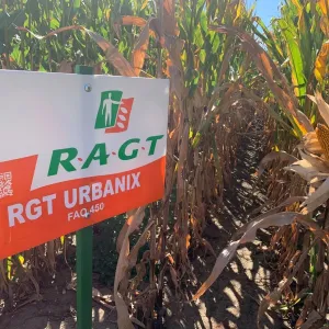 RGT Urbanix csávázott