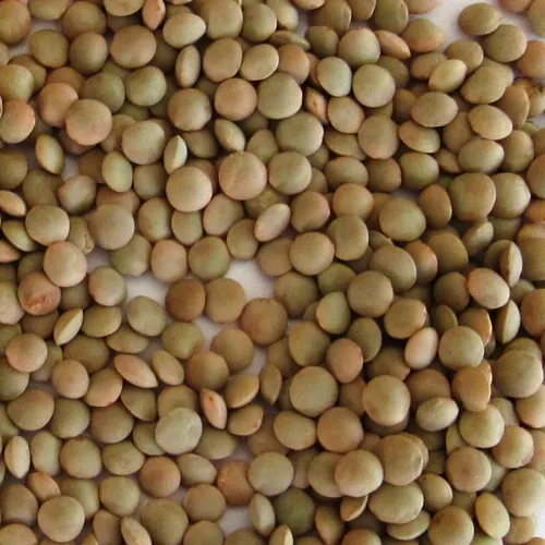 Pinklevi barna csávázatlan szuper elit