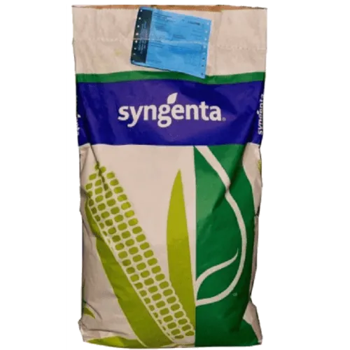 SY Solandri Elevation csávázott+stimulátor