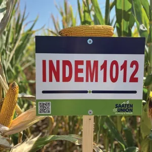 Indem1012 csávázott