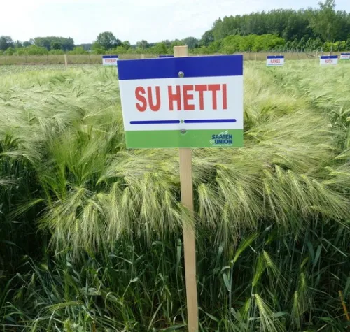 SU Hetti csávázott+stimulátor I. fok