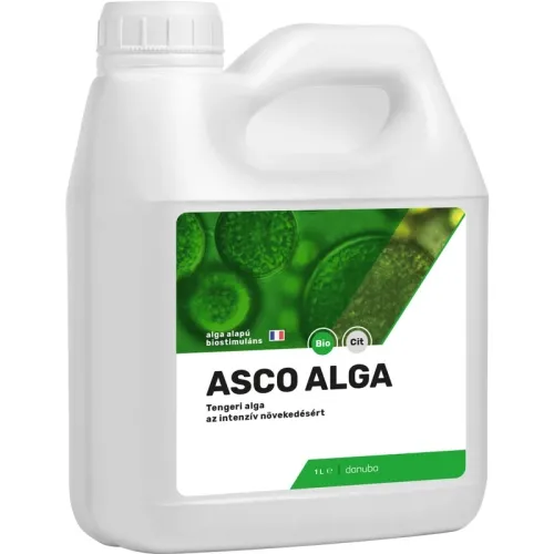 Asco Alga