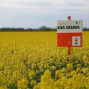 KWS Granos Initio csávázott+stimulátor