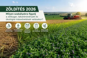 Zöldítés 2026: milyen szabályokra figyelj a zöldugar, takarónövények és ökológiai másodvetések vetésekor?