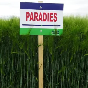 SU Paradies csávázott II. fok