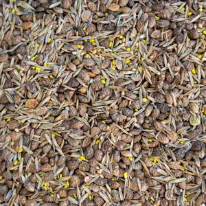 Zöldugar 38. csávázatlan