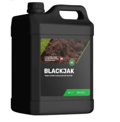 Blackjak