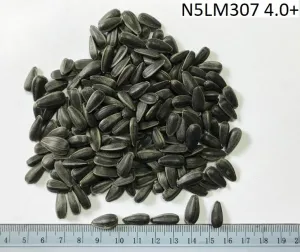 N5LM307 ONYX csávázott