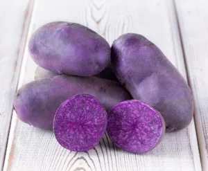 Bleuet holland csávázott A 35-50 mm