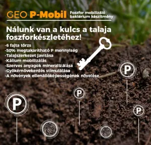 GeoP-Mobil