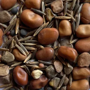 TillageMix NitroFix csávázatlan