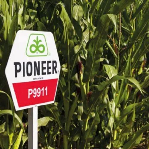 P9911 AQ LumiGEN Standard csávázott+stimulátor