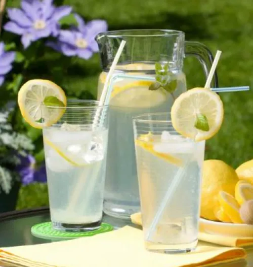 Nyári felfrissülés - megújult a primag.hu