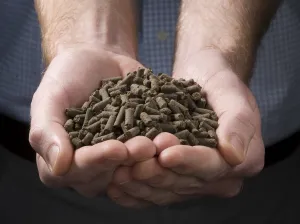 Fermentált, pelletált szerves trágya kijuttatása - aktualitások