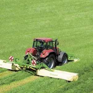 Kaszáló Savaria csávázatlan