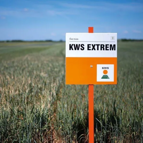 KWS Extrem csávázott II. fok