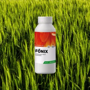 Főnix