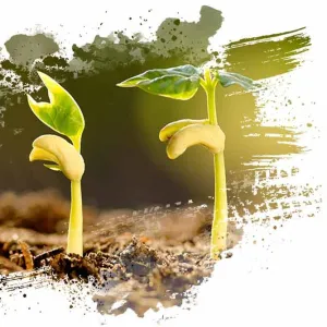 Phylazonit NG trichON