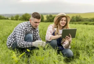 Hogyan találd meg a számodra ideális vetőmagkeveréket?