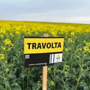 Travolta Rapool Seed Power Premium Plus csávázott+rovarölő +stimulátor