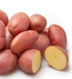 Labella holland csávázott A 35-55 mm