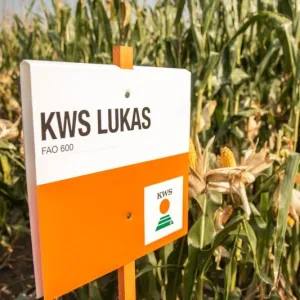 KWS Lukas Initio csávázott+stimulátor